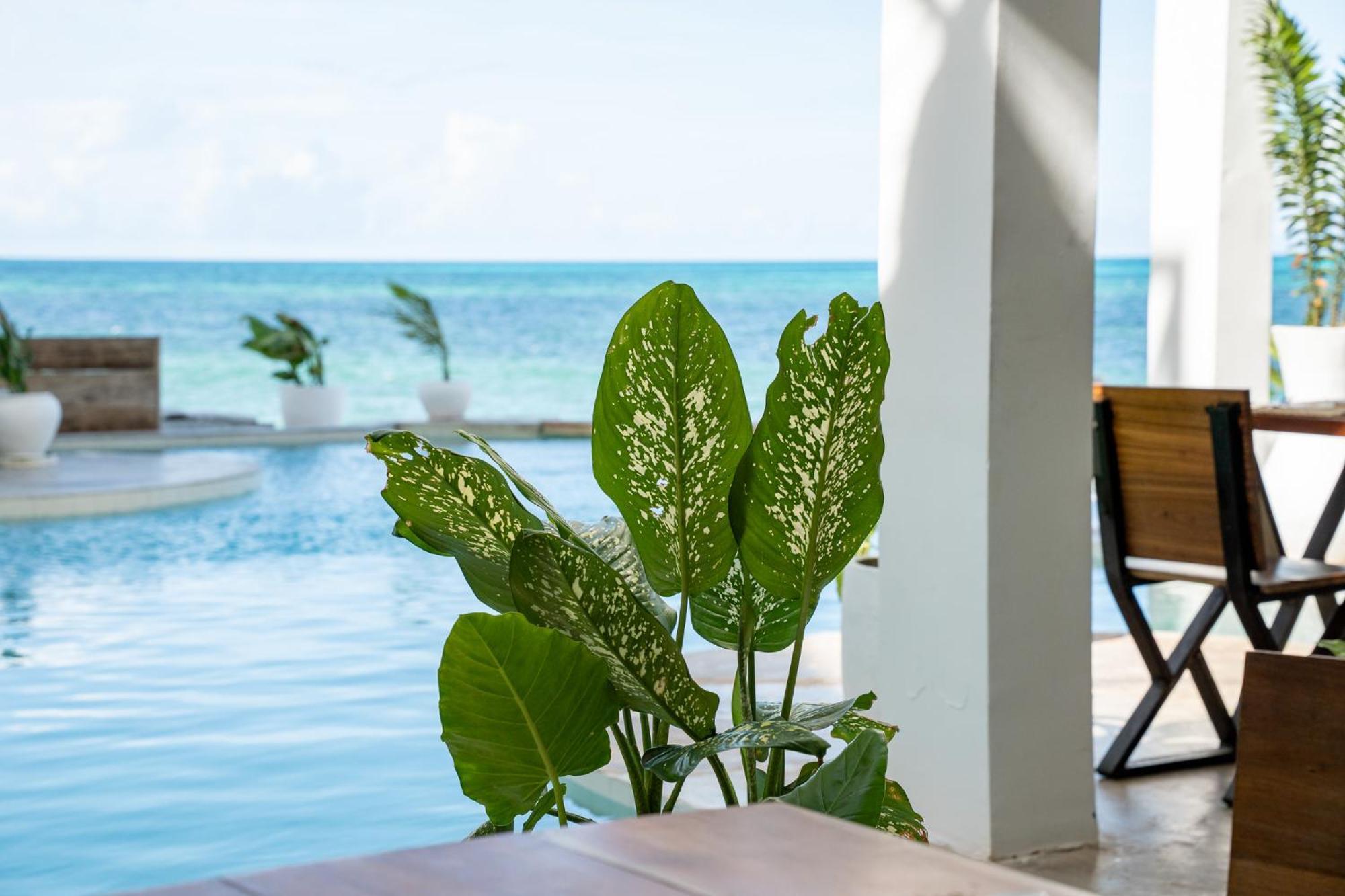 Hotel Pili Pili Tropical Jambiani (Zanzibar)
